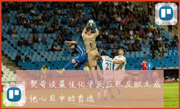 东契奇谈最佳化学反应队友欧文成为他心目中的首选