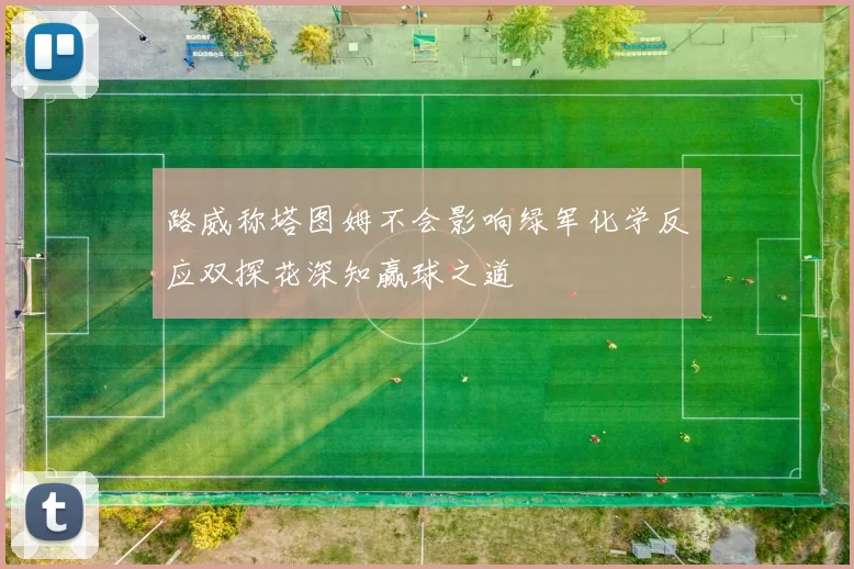 路威称塔图姆不会影响绿军化学反应双探花深知赢球之道