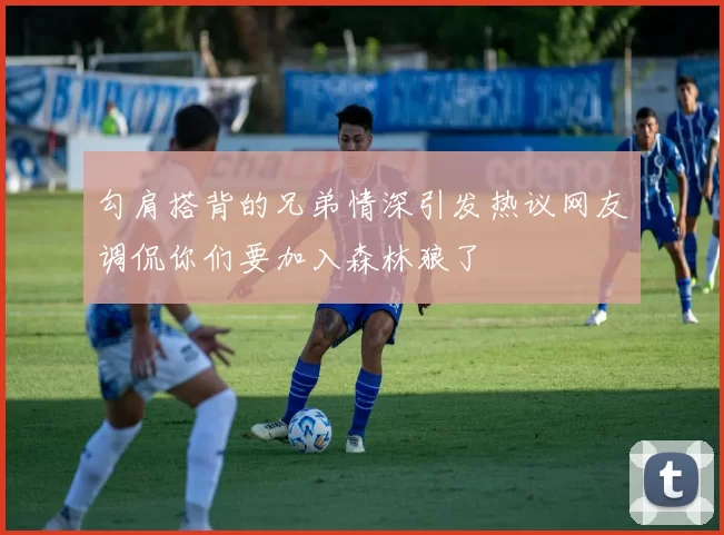勾肩搭背的兄弟情深引发热议网友调侃你们要加入森林狼了