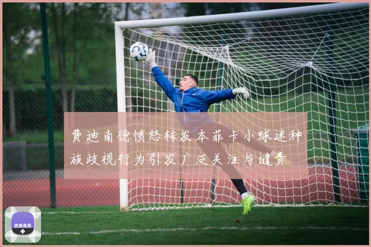 费迪南德愤怒转发本菲卡小球迷种族歧视行为引发广泛关注与谴责
